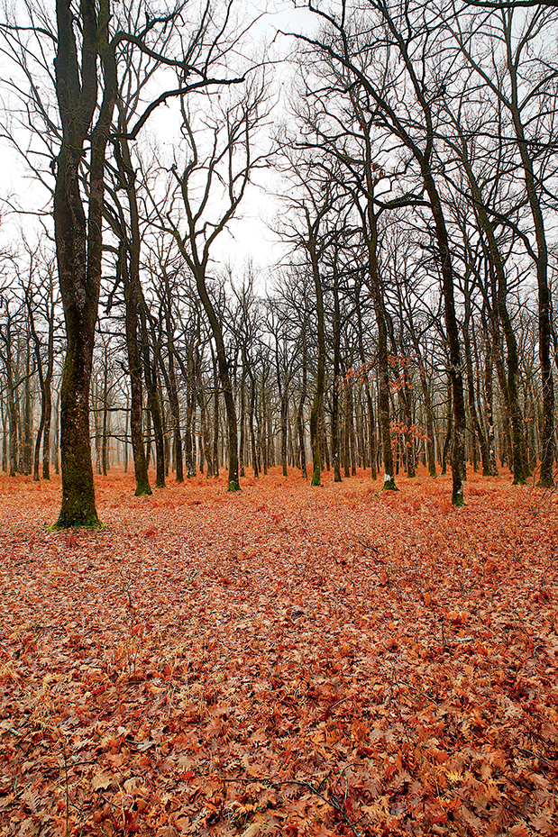 Ορεινή Ηλεία: Ο τουρισμός άργησε μια μέρα-2
