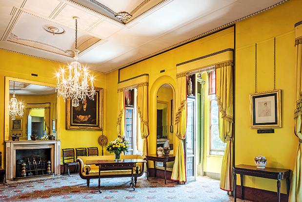 Γουλιά και τέχνη-3