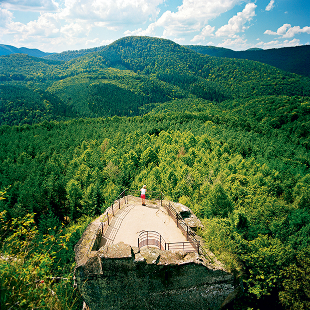 Ανοιχτά σύνορα-5