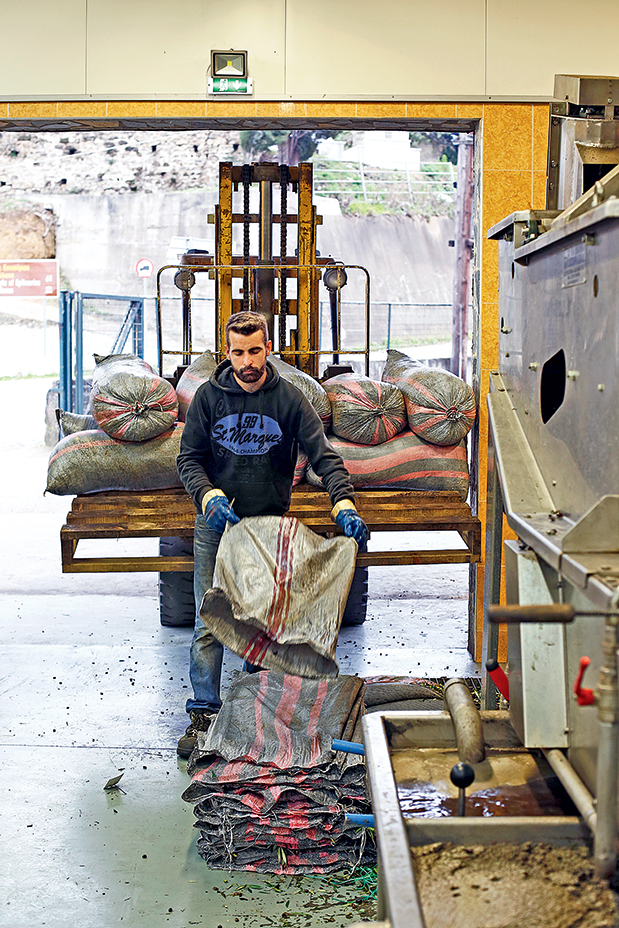 Ορεινή Ηλεία: Ο τουρισμός άργησε μια μέρα-5