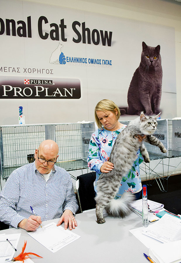 «Έμοιαζε σαν τίγρης!»-2