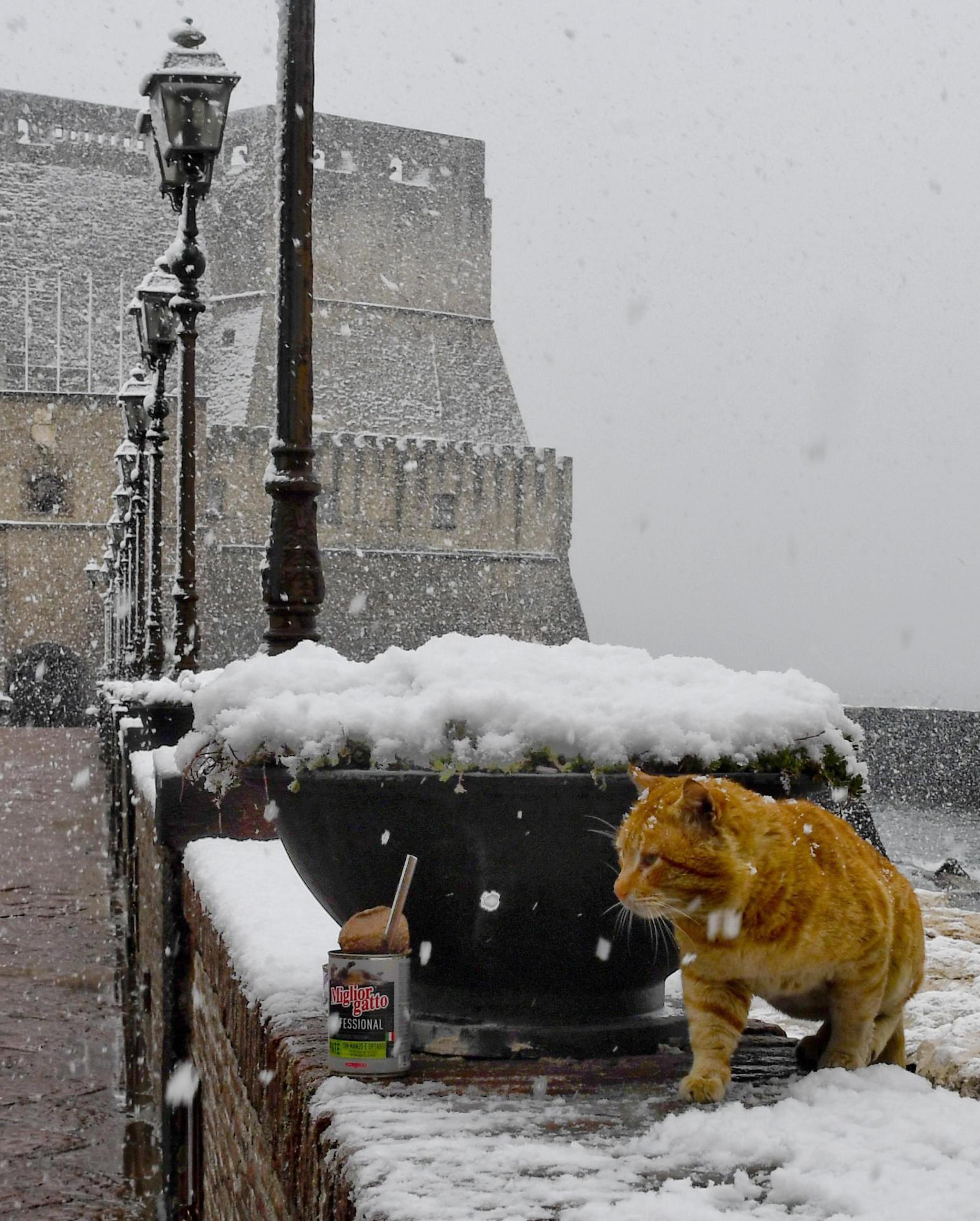 Η Ευρώπη «στον πάγο» – Δεκάδες νεκροί και τεράστια προβλήματα από το δριμύ ψύχος-12
