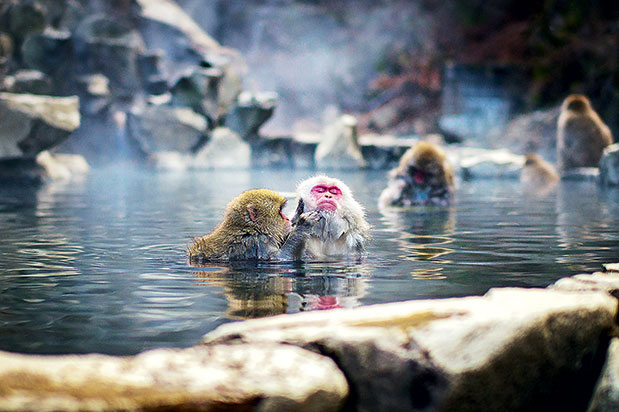 Ιαπωνία για αρχάριους-3