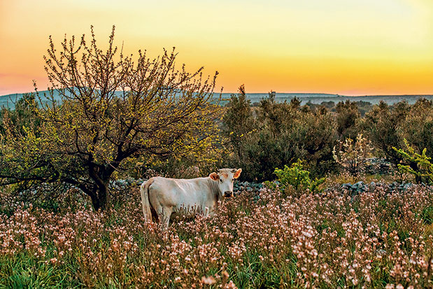 Μάνη: Η γοητεία της πέτρας-2