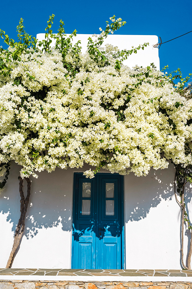Φολέγανδρος: Λευκό και απέριττο-3
