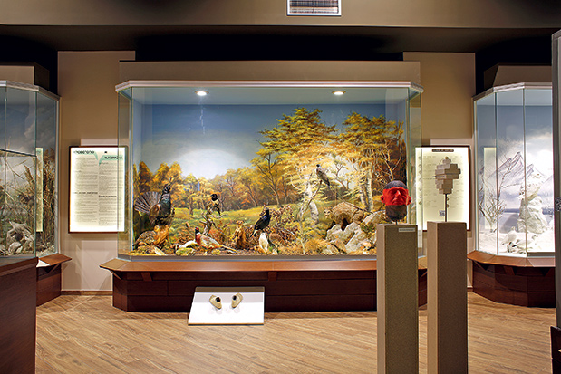 Μετέωρα: Προσευχή στον βράχο-2