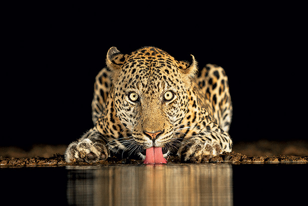 Εικόνες που μας ταξιδεύουν-5