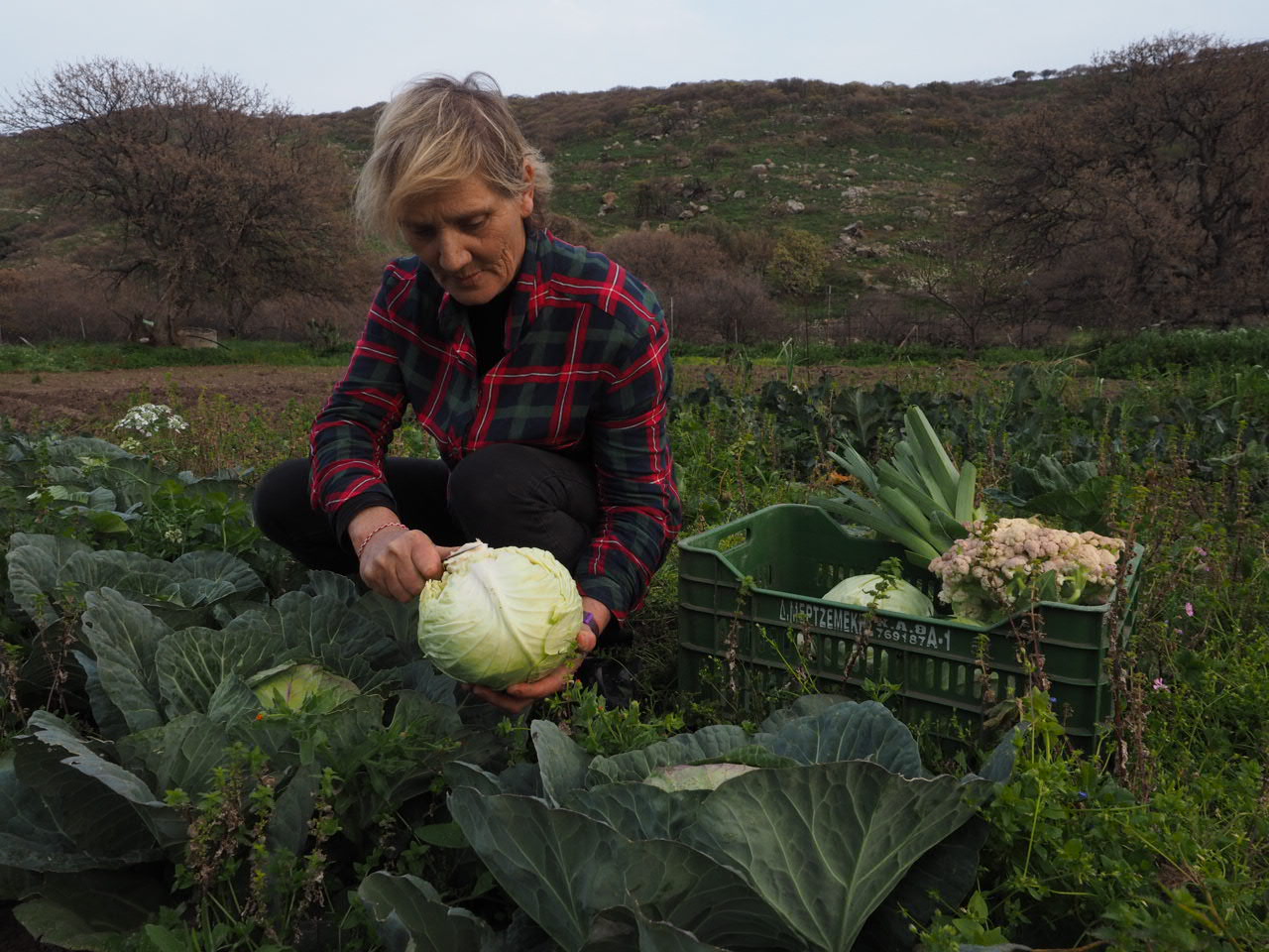 Άη Στράτης: Το πιο απομονωμένο νησί του Αιγαίου αναβαθμίζεται τεχνολογικά και έρχεται πιο κοντά-1