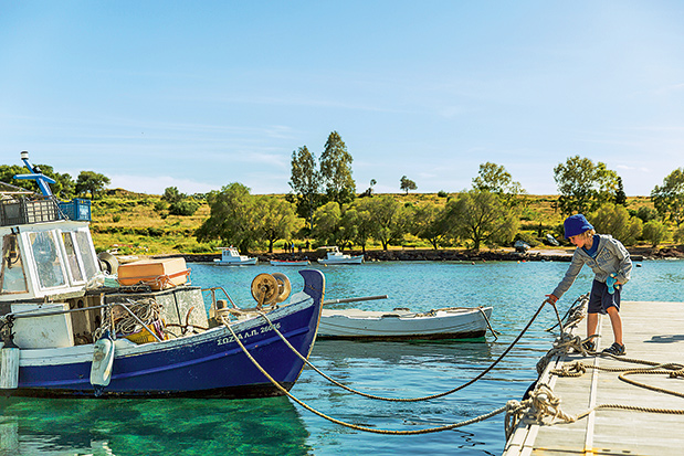 Αίγινα: Πικνίκ κάτω από τις ελιές-4