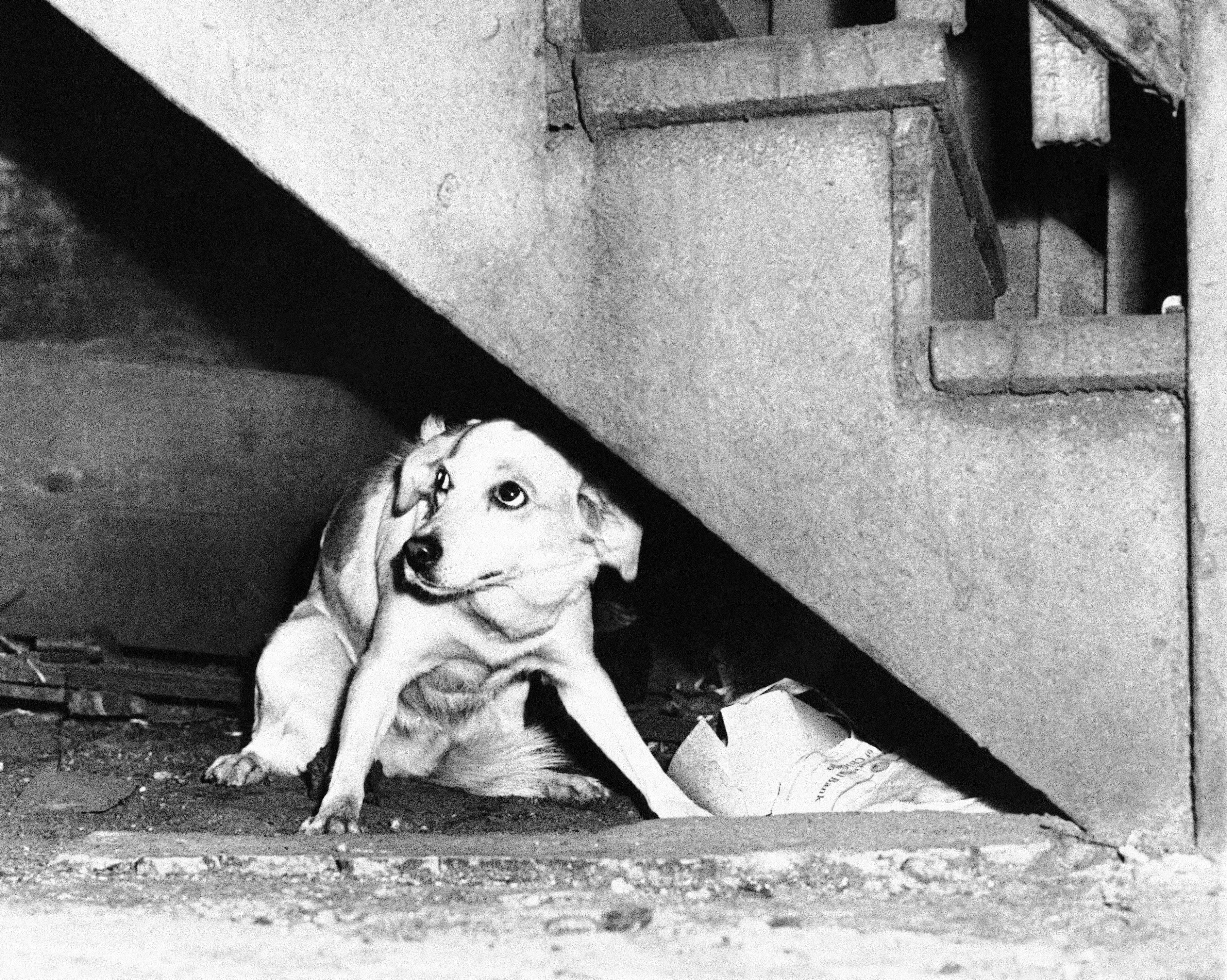 Flashback στη 17η Απριλίου-3