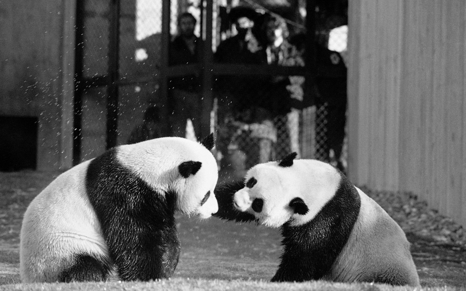 Flashback στην 20η Απριλίου-3