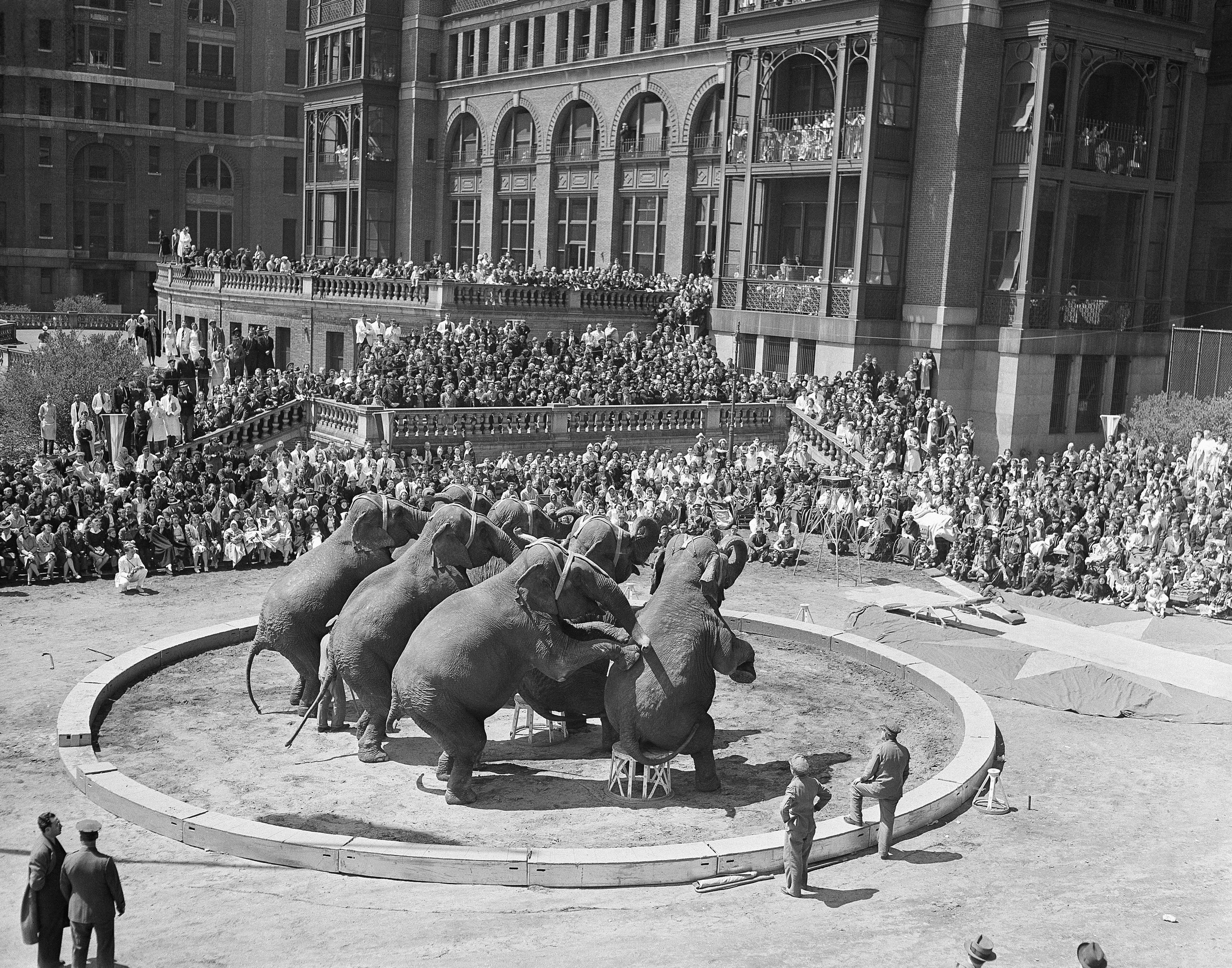 Flashback στην 25η Απριλίου-1