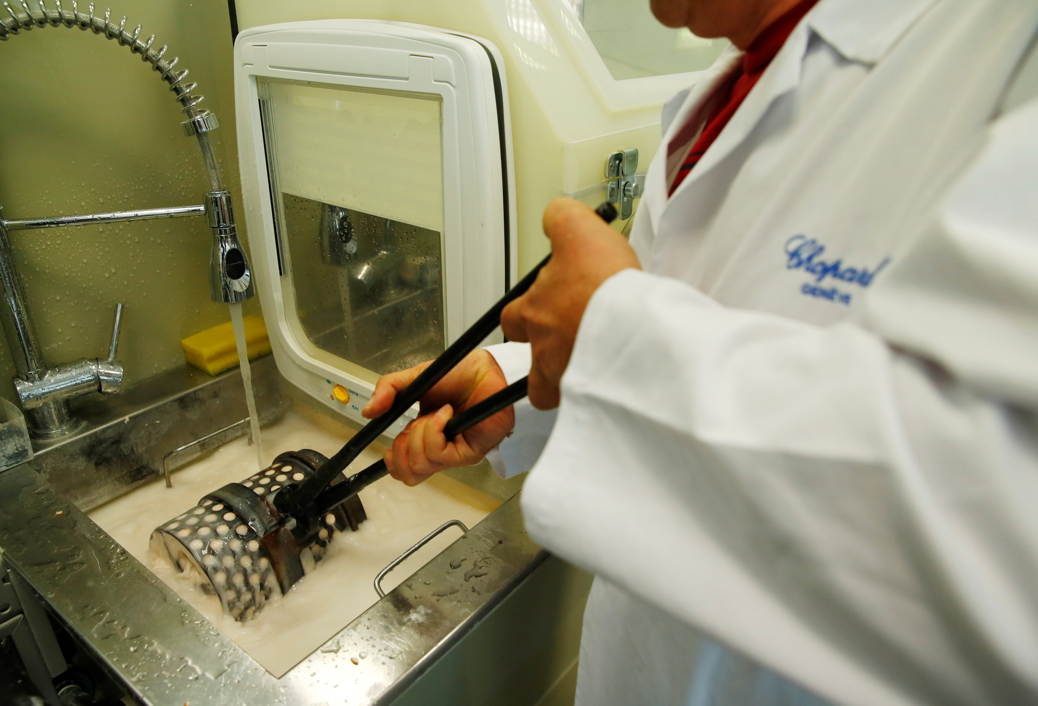 Εντυπωσιακές εικόνες: Πώς κρύσταλλο και χρυσός μετατρέπονται σε… Χρυσούς Φοίνικες-6