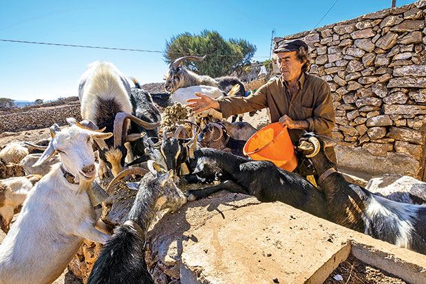 Δωδεκάνησα: Τα μικρά που γοητεύουν-2