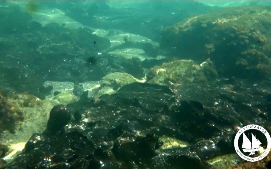 Οκτώ μήνες από το ναυάγιο του Αγία Ζώνη ΙΙ: Καθάρισε ο Σαρωνικός;-2