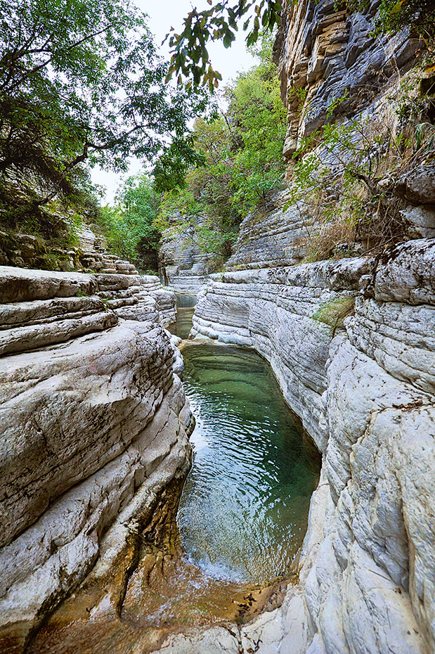 Κυνήγι τρούφας και surf στην άμμο-3