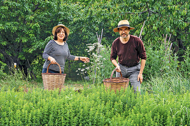 Πήλιο: Στιγμές δράσης-4