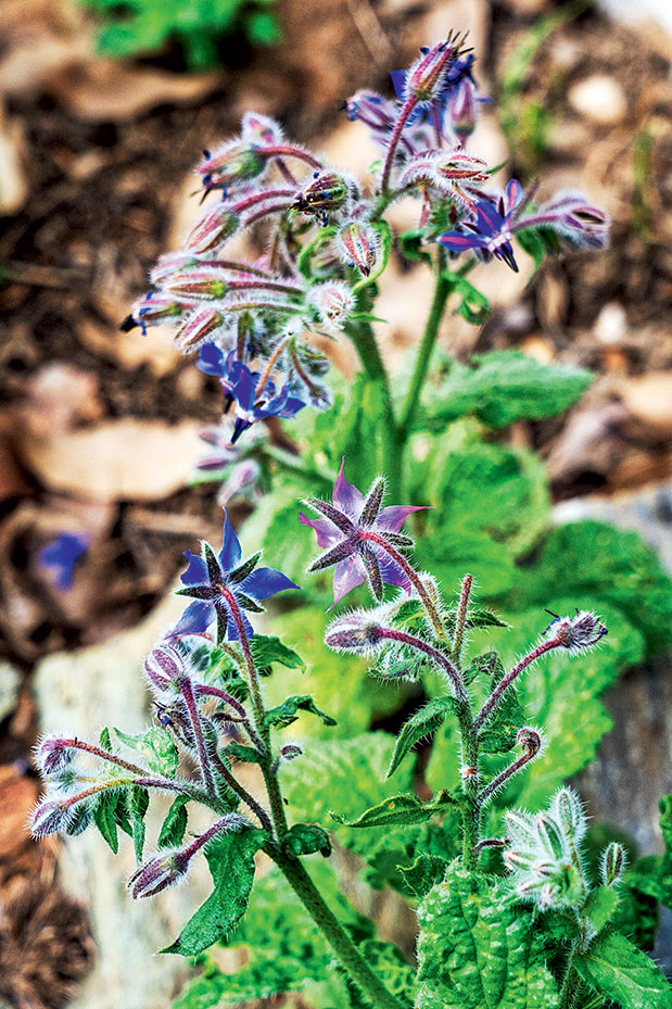 Πήλιο: Στιγμές δράσης-5