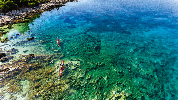 Κυνήγι τρούφας και surf στην άμμο-1