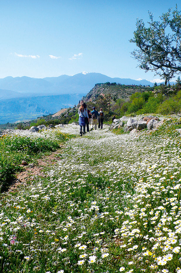 Κυνήγι τρούφας και surf στην άμμο-4