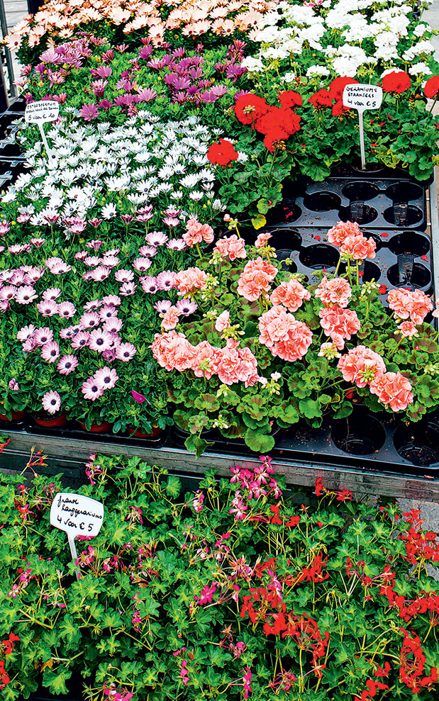 Γάνδη by locals-1