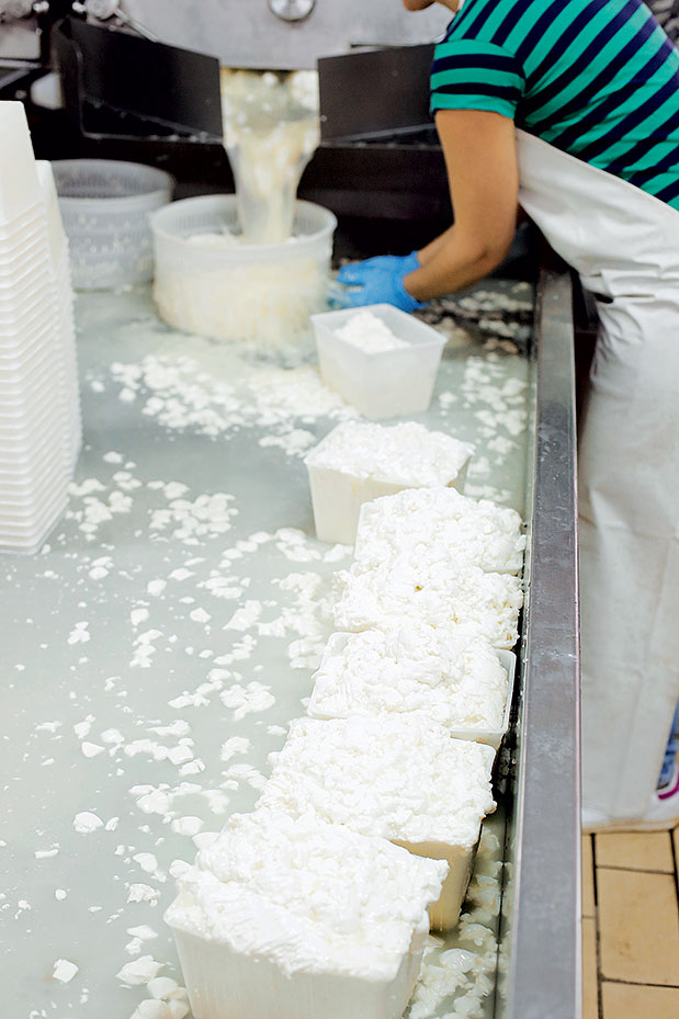 Ζάκυνθος: Στα βόρεια κρύβεται η ομορφιά-11