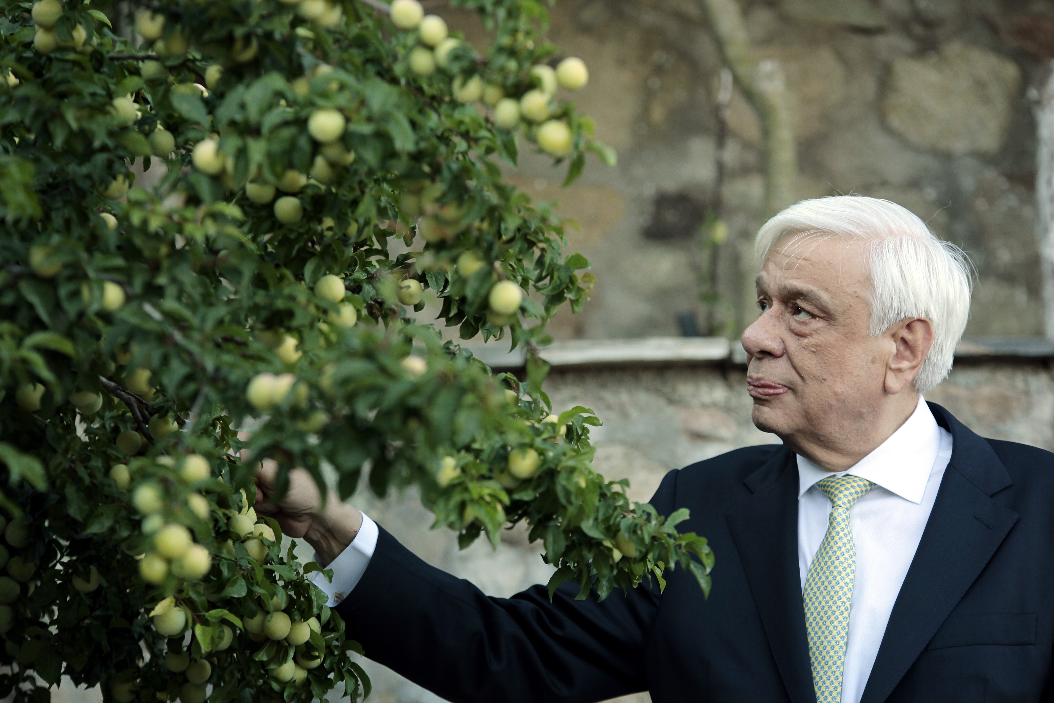 Παυλόπουλος: Οι Έλληνες θα υπερασπιζόμαστε την Ελευθερία έναντι παντός και με κάθε τίμημα (φωτογραφίες)-3