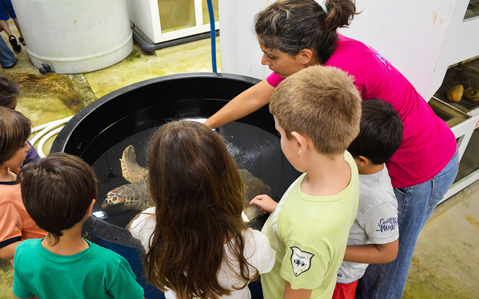 Ενυδρείο Κρήτης: Μια «βουτιά» στη Μεσόγειο-1