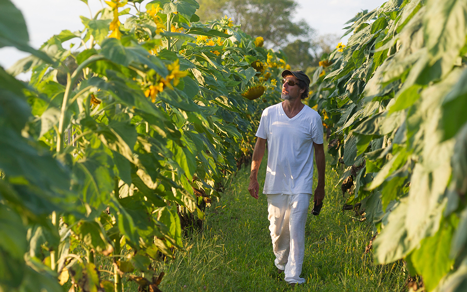 ΜΟΜΙΧ, μπερδεύοντας όλες τις αισθήσεις-1