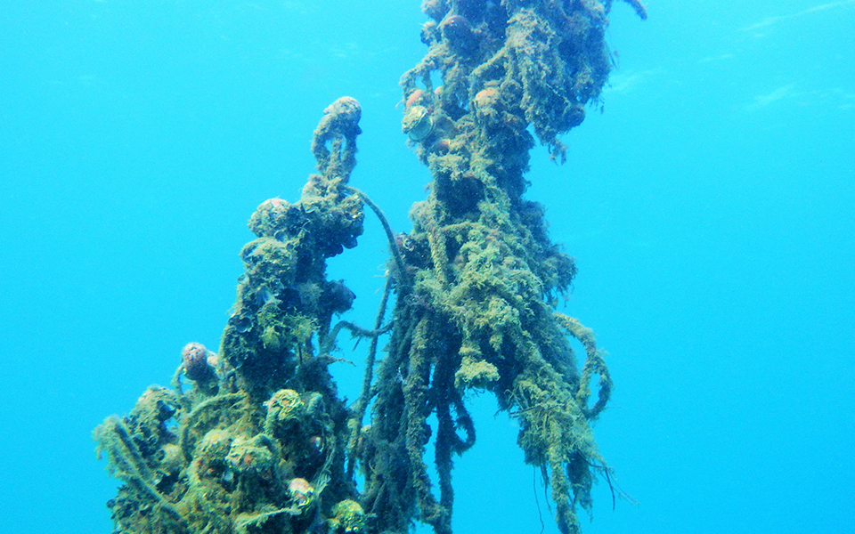 Το μήνυμα του μικρού Ζήση για καθαρή θάλασσα-2