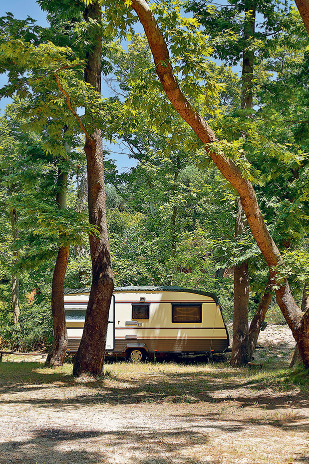 Στον αστερισμό της Xαλκιδικής-2