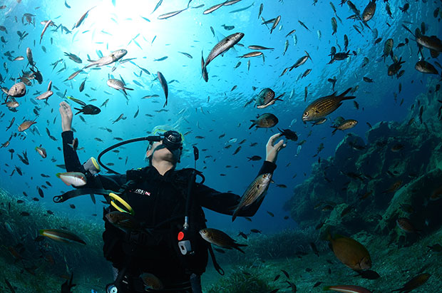 Πιερ-Ιβ Κουστό στην «Κ»: Η θάλασσα της Σαντορίνης είναι έρημος-1