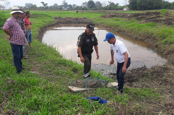 Η Interpol κατέσχεσε πύθωνες, κροκόδειλους και χιλιάδες άλλα άγρια ζώα (φωτογραφίες)-3
