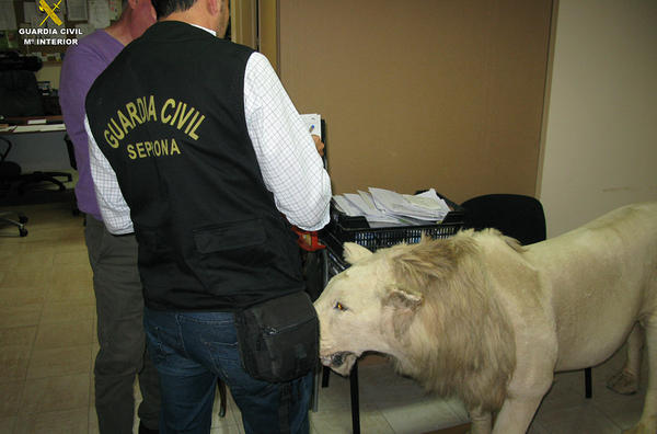 Η Interpol κατέσχεσε πύθωνες, κροκόδειλους και χιλιάδες άλλα άγρια ζώα (φωτογραφίες)-4