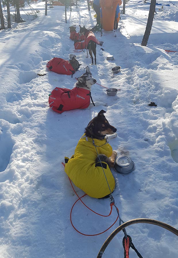 Ένας survivor του ψύχους-2