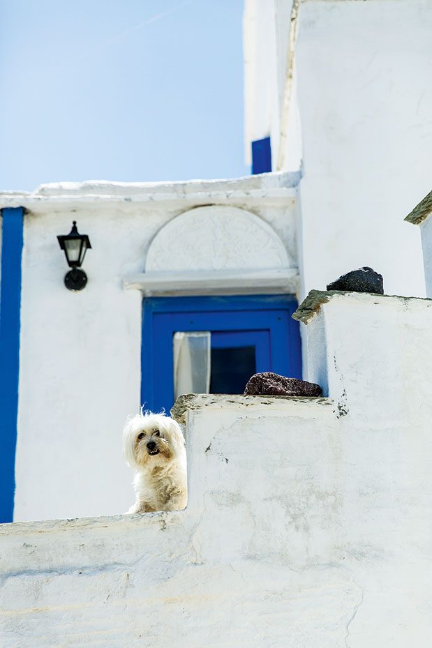 Η Λώρη Κέζα γράφει για την Τήνο-1
