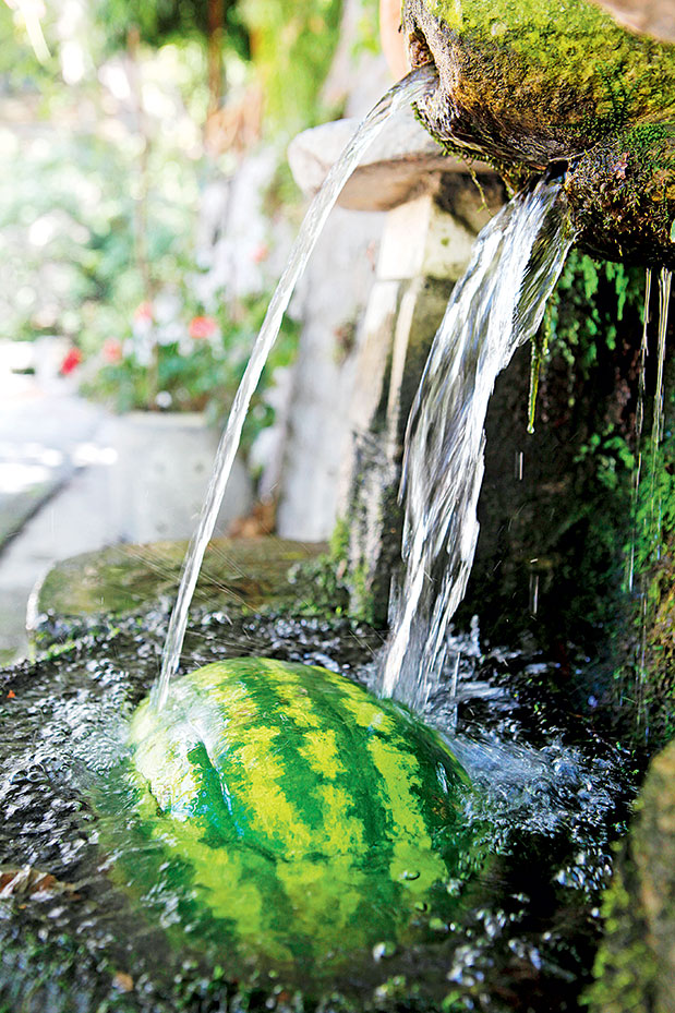 Ο Μάνος Κοντολέων γράφει για το Πήλιο-1