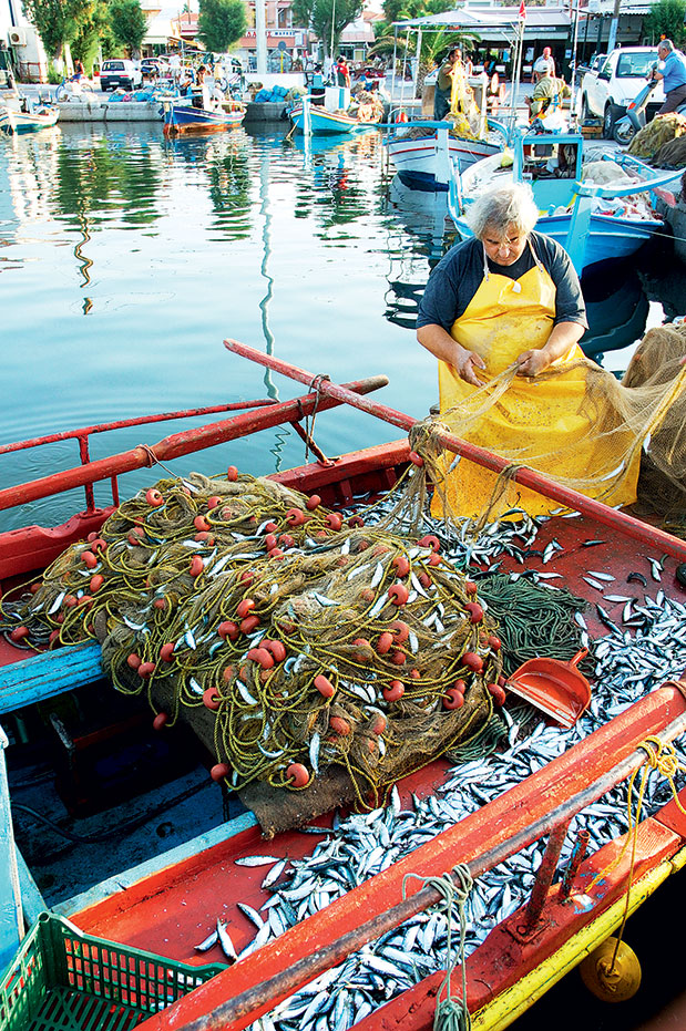 Αυτός δεν είναι ένας τυπικός οδηγός-6
