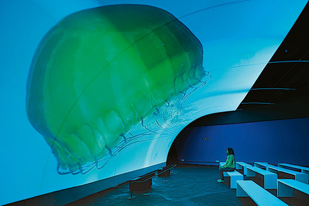 Βαρκελώνη by locals-4