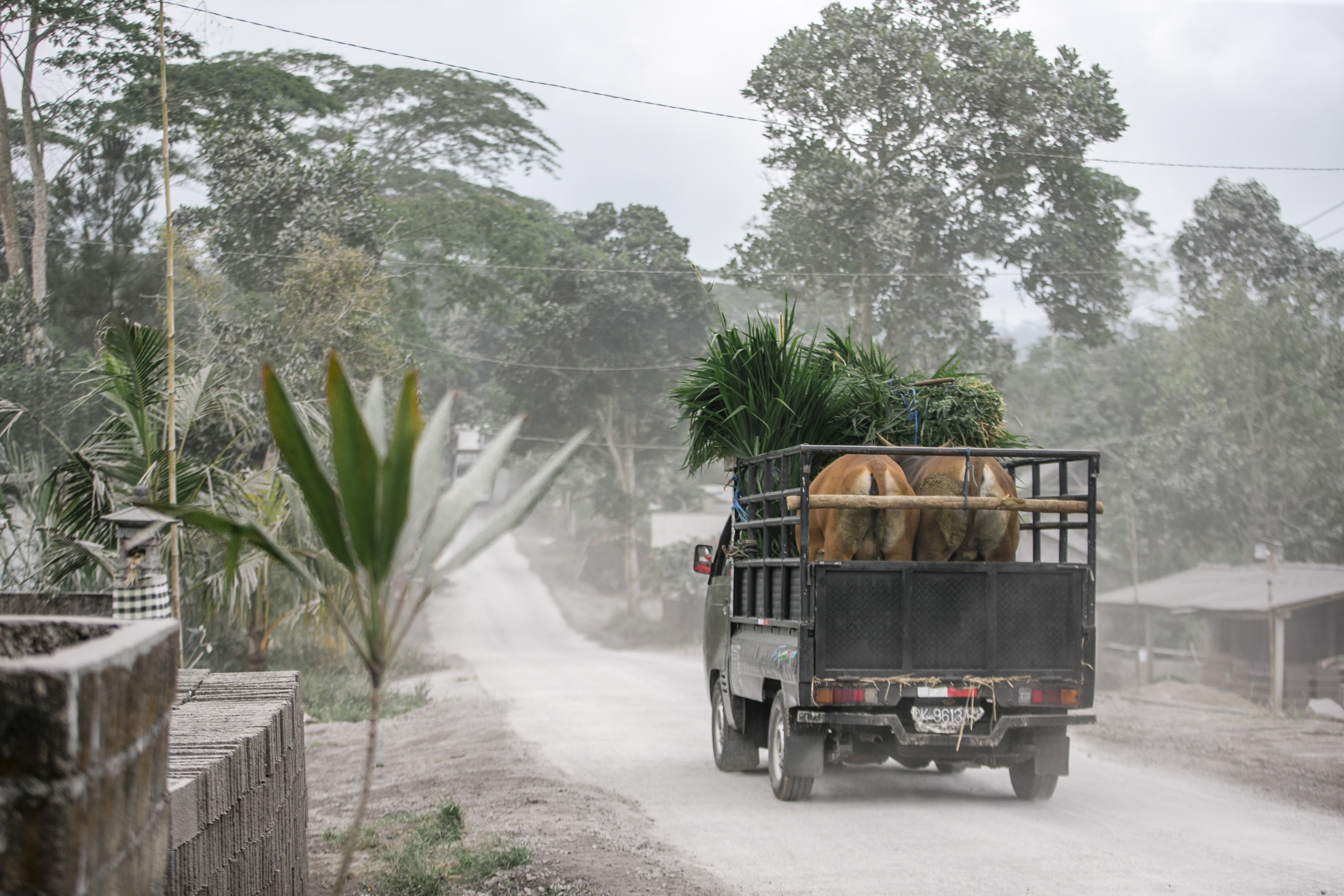 «Ξύπνησε» το ηφαίστειο στο Μπαλί – Εκατοντάδες πτήσεις ακυρώθηκαν λόγω της έκρηξης-4