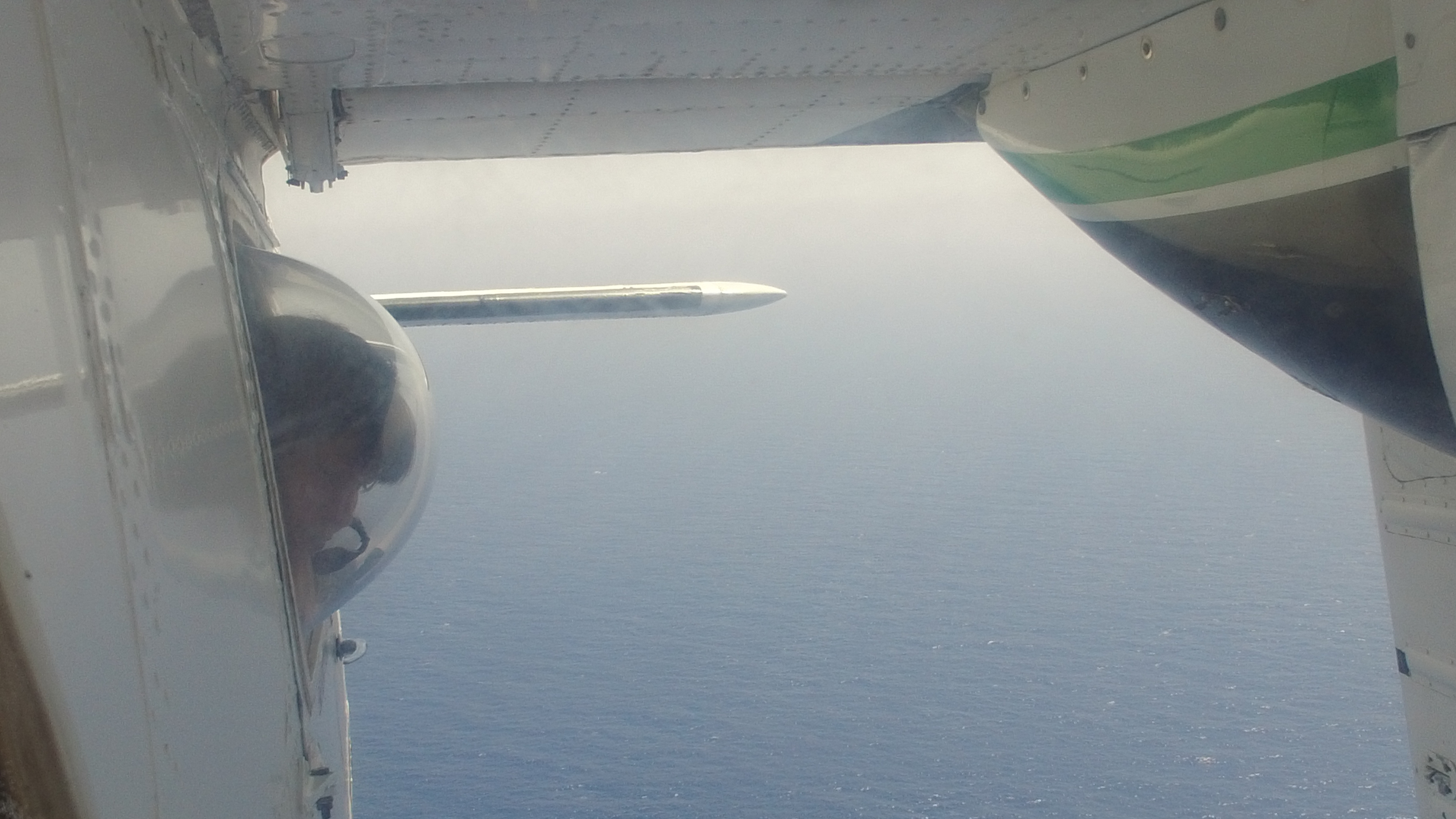 Οι ιπτάμενοι καταγραφείς κητωδών-2