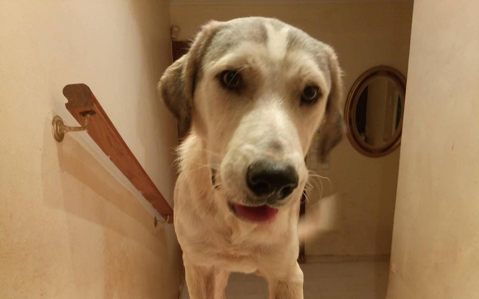 Λεπτή, κόκκινη γραμμή-1