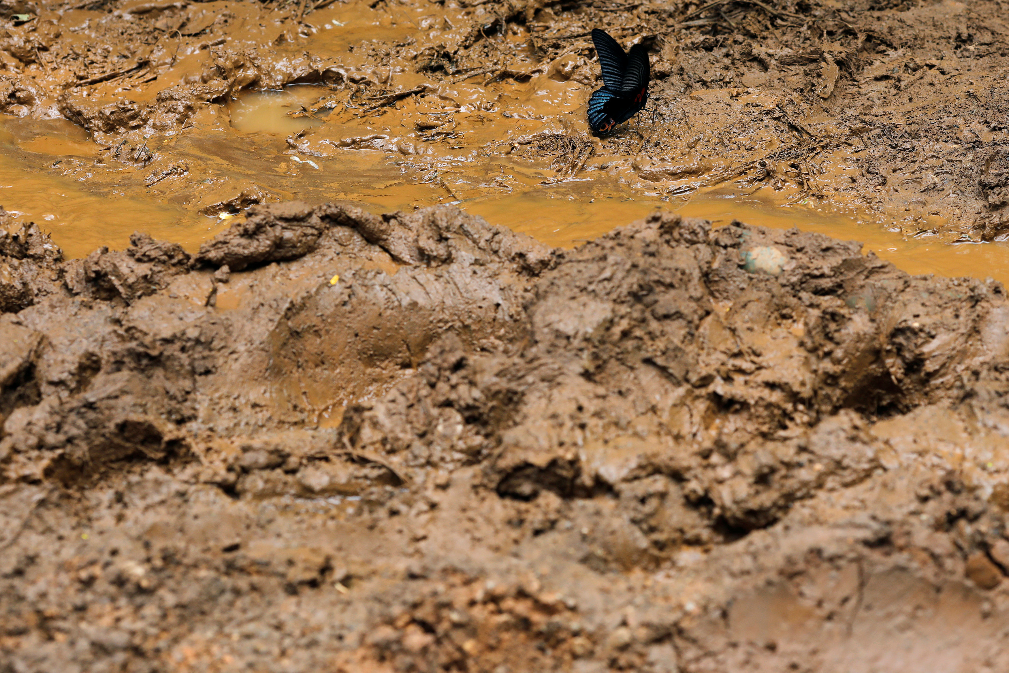 Ταϊλάνδη: Το χρονικό περιθώριο που δίνουν οι αρχές για τον απεγκλωβισμό των παιδιών-3