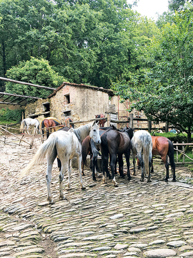 Ποδηλατώντας στην Τοσκάνη-1