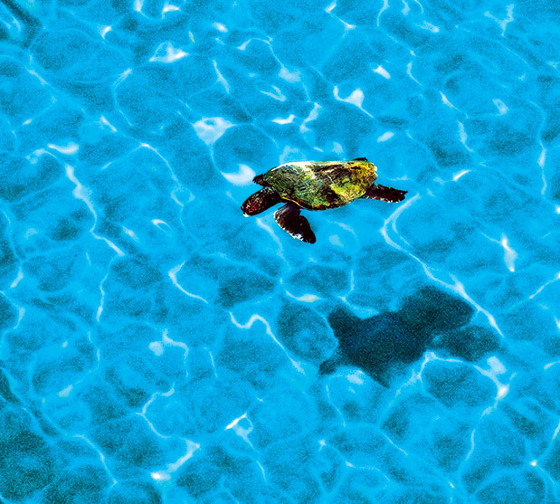 Αφιέρωμα: Ανεξάντλητη Μεσσηνία-8