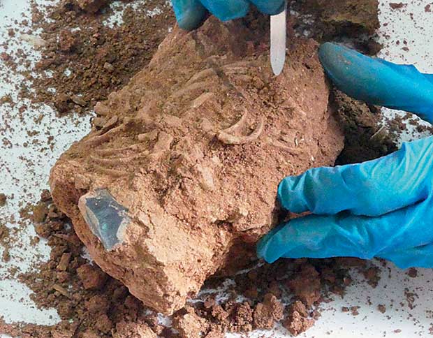 Αστυπάλαια: Πέντε χρόνια έρευνας στο Βαθύ-2