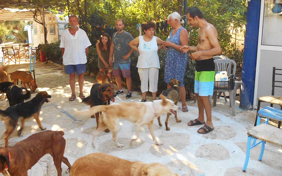 Δωρεάν διακοπές με αντάλλαγμα τη φροντίδα αδέσποτων-1