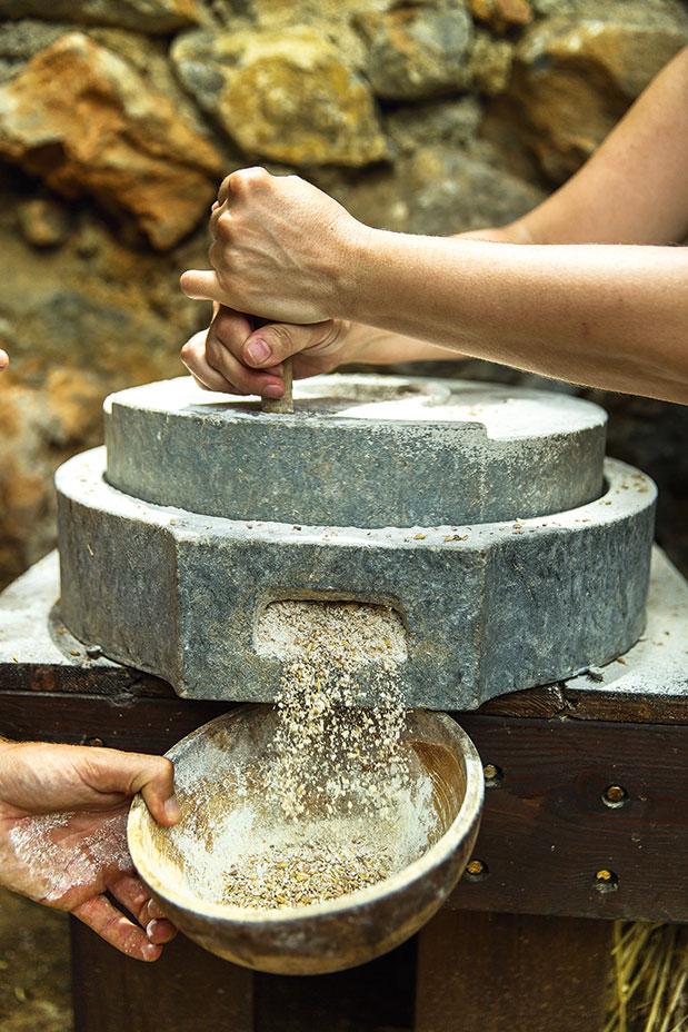 Αγρότες  για μια μέρα-3