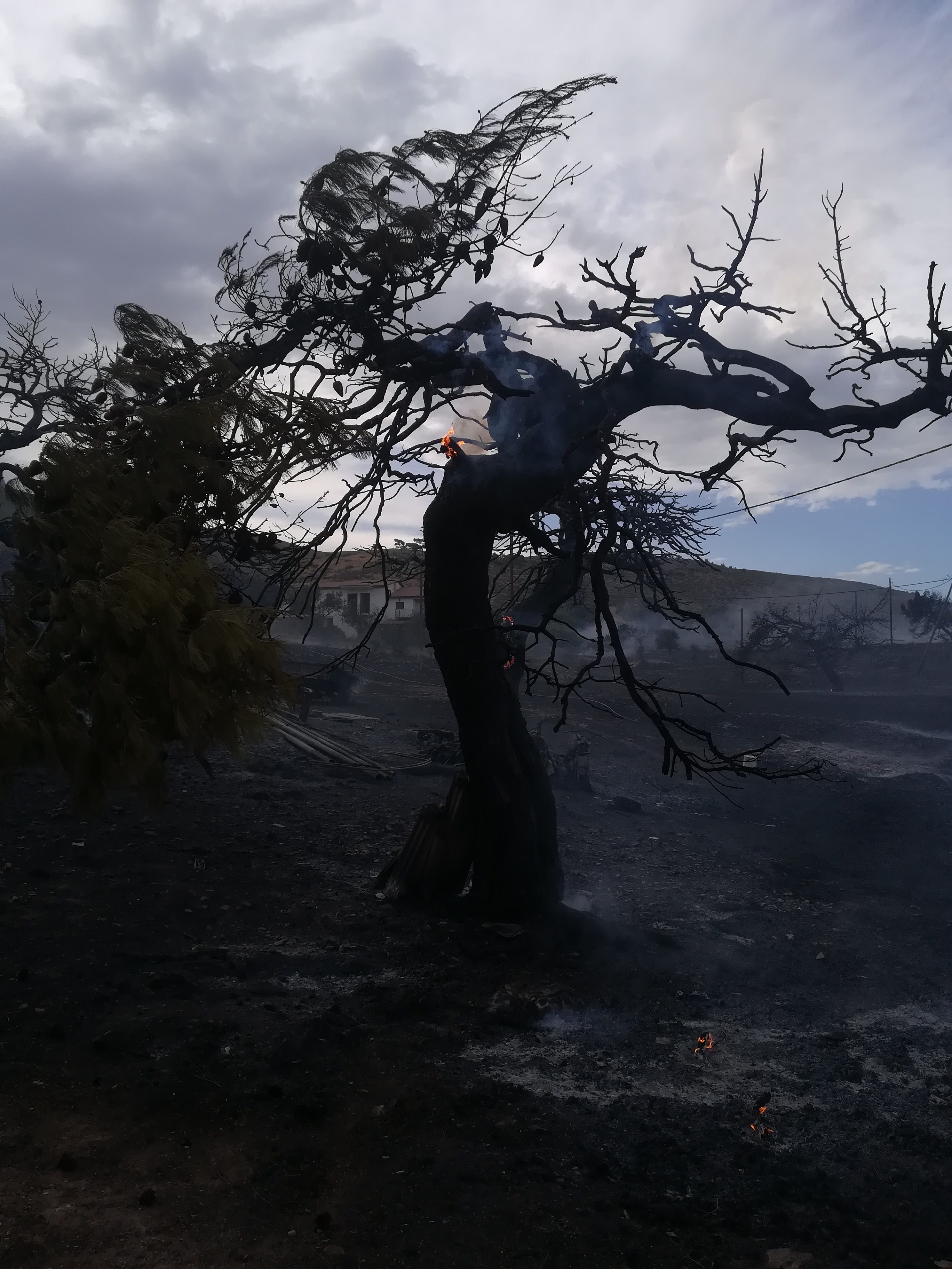 Εικόνες ολοκληρωτικής καταστροφής από τις πυρκαγιές (Φωτο – Βίντεο)-16