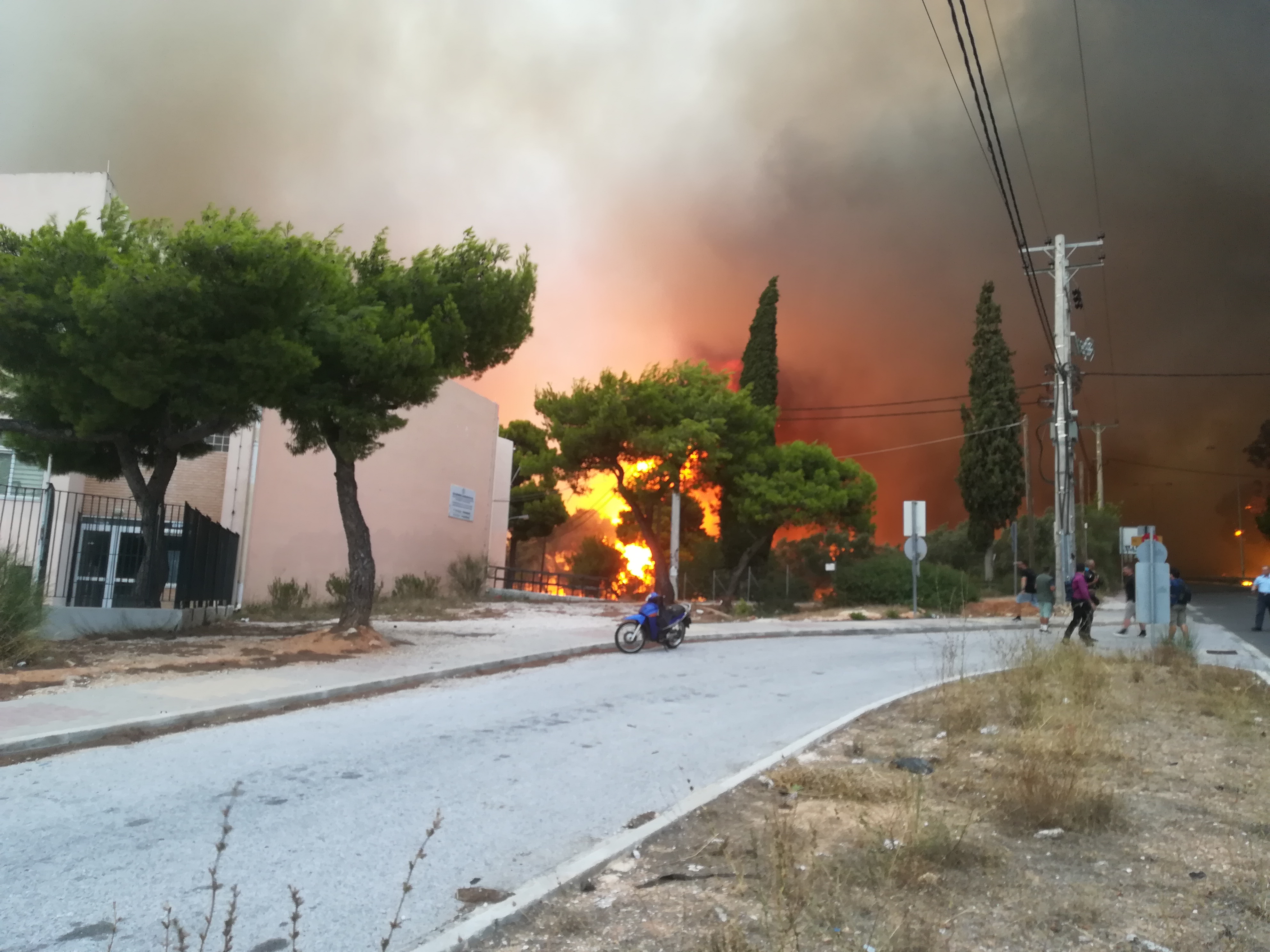 Εικόνες ολοκληρωτικής καταστροφής από τις πυρκαγιές (Φωτο – Βίντεο)-31